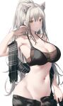  1girl animal_ear_fluff animal_ears arknights arm_up armpits bare_arms bare_shoulders black_shorts breasts brown_eyes cat_ears cleavage collarbone crop_top extra_ears grey_hair groin halter_top halterneck high_ponytail highres large_breasts long_hair looking_at_viewer midriff navel open_fly parted_lips ponytail revealing_clothes scarf schwarz_(arknights) shorts sidelocks simple_background sleeveless solo stomach suzuame_yatsumi upper_body very_long_hair white_background 