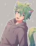  1boy :d absurdres alternate_costume amami_rantarou animal_ears bangs cat_boy cat_ears cat_tail cheer_(cheerkitty14) danganronpa_(series) danganronpa_v3:_killing_harmony ear_piercing extra_ears fang green_eyes green_hair grey_background grey_hoodie hair_between_eyes highres hood hood_down hoodie long_sleeves looking_at_viewer male_focus open_mouth piercing short_hair smile solo sparkle sparkle_background tail upper_body 