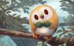  bird blurry closed_mouth commentary_request creature day gen_7_pokemon head_tilt leaf looking_at_viewer momomo12 no_humans outdoors owl pokemon pokemon_(creature) rowlet solo standing starter_pokemon tree_branch twitter_username 