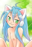  animal_ears blue_hair breasts cat_ears female hair izumi_konata konata_izumi lucky_star solo 