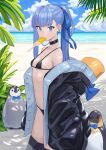  1girl beach bikini bird black_bikini black_choker blue_eyes bow bowtie breasts choker cloud coat fate/grand_order fate_(series) food food_in_mouth highres hood hood_down meltryllis_(fate) meltryllis_(swimsuit_lancer)_(fate) michitaro_smile micro_bikini navel ocean penguin ponytail popsicle purple_hair small_breasts swimsuit 