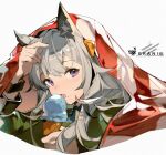 1girl animal_ear_fluff animal_ears arknights blanket character_name food grani_(arknights) grani_(miraculous_moment)_(arknights) green_jacket grey_hair hand_up holding holding_food horse_ears ice_cream ice_cream_cone jacket kagura_tohru long_hair looking_at_viewer official_alternate_costume portrait purple_eyes solo wristband 