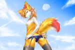  1girl absurdres aircraft airplane ancesra animal_ear_fluff animal_ears animal_nose artist_name ass back bangs black_fur blonde_hair blue_sky blue_swimsuit body_fur braixen breasts butt_crack cameltoe clothes_pull cloud condensation_trail cowboy_shot day flower fox_ears fox_girl fox_tail from_behind furry gen_6_pokemon hair_flower hair_ornament half-closed_eyes happy highres legs_apart lens_flare looking_at_viewer looking_back medium_hair moon multicolored_hair nipples one-piece_swimsuit orange_hair outdoors parted_lips patreon_username pokemon pokemon_(creature) red_flower red_hair shiny shiny_clothes shiny_hair shiny_skin sky small_breasts smile snout solo standing streaked_hair swimsuit swimsuit_pull tail teeth topless watermark web_address white_fur yellow_fur 