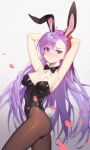  1girl absurdres animal_ears arm_behind_head arms_up black_legwear blush breasts bunny_ears bunny_tail extra_ears fake_animal_ears fake_tail fate/grand_order fate_(series) hair_ribbon highres long_hair looking_at_viewer meltryllis_(fate) petals playboy_bunny purple_eyes purple_hair ribbon simple_background solo sugarhigh tail thighhighs white_background 