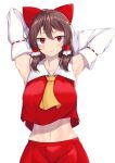  1girl armpits arms_up bangs black_hair bow breasts brown_hair closed_mouth commentary_request cookie_(touhou) cowboy_shot crop_top detached_sleeves hair_bow hakurei_reimu highres ikikiksgiksg large_breasts looking_at_viewer medium_hair navel necktie red_bow red_eyes red_shirt red_skirt reu_(cookie) ribbon-trimmed_sleeves ribbon_trim shirt simple_background skirt sleeveless sleeveless_shirt solo touhou white_background white_sleeves yellow_neckwear 