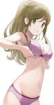  1girl bikini breasts brown_hair fang green_eyes highres hiroki_(yyqw7151) inuyama_aoi large_breasts long_hair looking_at_viewer navel ponytail simple_background skin_fang smile solo swimsuit white_background yurucamp 