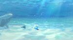  air_bubble bubble dive_ball light_rays no_humans poke_ball pokemon sand shiny still_life underwater water_surface zukki_(suzukio) 