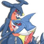  garchomp nintendo pokemon sharpedo tagme 