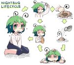  1girl antennae arrow_(symbol) bangs barefoot black_shorts blush_stickers bread breasts cape closed_mouth collared_shirt eating food green_eyes green_hair highres holding looking_at_viewer pout shirt short_hair shorts sitting small_breasts smile solo touhou ugif underground watering watering_can white_background white_shirt wriggle_nightbug 
