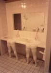  bathroom bathtub bidet bog_roll douche inanimate shower sink soap_holder toilet towel_rack 