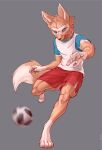  1boy 2018_fifa_world_cup ancesra animal_ears animal_nose artist_name ball barefoot blue_eyes blue_shirt body_fur brown_fur claws closed_mouth clothes_writing commentary english_commentary english_text fox_boy fox_ears fox_tail furry grey_background hands_up highres kicking leg_up looking_at_viewer male_focus motion_blur patreon_username pawpads paws red_shorts shirt short_sleeves shorts simple_background snout soccer soccer_ball soccer_uniform solo sportswear standing standing_on_one_leg tail toned toned_male two-tone_fur v-shaped_eyebrows vest watermark web_address white_fur white_vest world_cup zabivaka 