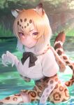  1girl akuma_(st.takuma) animal_ears black_neckwear blonde_hair bow bowtie claw_pose commentary_request elbow_gloves fang fur_collar gloves high-waist_skirt highres jaguar_(kemono_friends) jaguar_ears jaguar_girl jaguar_print jaguar_tail kemono_friends looking_at_viewer partially_submerged print_gloves print_legwear print_skirt shirt short_hair short_sleeves skirt solo squatting t-shirt tail thighhighs water white_fur white_shirt yellow_eyes zettai_ryouiki 