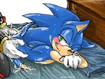  2007 all_fours anal anal_penetration anthro anus bed blush butt butt_grab cum cum_in_ass cum_inside cumshot doggystyle duo from_behind gay hedgehog male mammal orgasm penetration penis sega sex shade_(artist) shadow_the_hedgehog sonic_(series) sonic_team sonic_the_hedgehog 