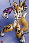  digimon karabiner renamon tagme 