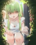  1girl beckoning bent_over breasts bush c.c. cleavage code_geass collarbone creayus day green_hair hand_on_own_knee light_blush long_hair looking_at_viewer open_hand open_mouth outstretched_hand perspective shadow shirt short_sleeves smile solo squatting white_shirt yellow_eyes 