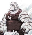  1boy animal_ears arknights bara bare_shoulders black_tank_top bulge chain_necklace covered_abs dog_tags fingerless_gloves fluffy furry gloves highres large_pectorals male_focus mountain_(arknights) muscular muscular_male pants pectorals scar scar_across_eye short_hair sidepec sleeveless solo tank_top thick_thighs thighs tiger_boy tiger_ears tiger_stripes white_hair white_pants yanutorie 
