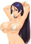 1girl absurdres armpits bare_arms bare_shoulders bikini bikini_in_mouth breasts dyun fate/grand_order fate_(series) hair_tie highres large_breasts long_hair looking_at_viewer minamoto_no_raikou_(fate) mouth_hold navel purple_eyes purple_hair simple_background skindentation solo swimsuit tying_hair upper_body white_background white_bikini 