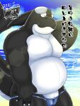  2021 3:4 absurd_res anthro beach belly black_body blush cetacean clothing delphinoid hi_res humanoid_hands japanese_text kemono male mammal marine oceanic_dolphin orca overweight overweight_male sea seaside slit solo swimwear tanutronik753_k text toothed_whale water white_body 