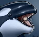 ambiguous_gender black_body black_skin blue_eyes bodily_fluids cetacean delphinoid dolorcin duo feral feral_pred gesture human human_prey invalid_tag looking_at_viewer mammal marine oceanic_dolphin open_mouth oral_vore orca saliva saliva_on_tongue teeth thumbs_up tongue toothed_whale vore white_body white_skin 