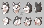  16:10 ambiguous_gender canid canine canis domestic_dog expression_sheet eyes_closed fur hana_(jishinu) husky jishinu looking_at_viewer looking_up mammal nordic_sled_dog open_mouth simple_background smile solo spitz teeth tongue tongue_out widescreen yawn 