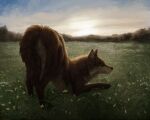  2021 5:4 ass_up brown_body brown_eyes brown_fur butt butt_focus canid canine canis clover detailed_background digital_drawing_(artwork) digital_media_(artwork) female feral foxapm freedom fur landscape looking_at_viewer mammal samarah sky solo white_body white_fur wildflowers wolf 