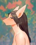  animated anthro black_hair black_nose breasts brown_hair canid canine conditional_dnp female hair mammal nude short_playtime solo transformation trunchbull 
