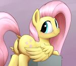  2021 animal_genitalia animal_pussy anus butt cutie_mark digital_media_(artwork) dock equid equine equine_pussy eyelashes female feral fluttershy_(mlp) friendship_is_magic genitals hasbro hi_res mammal my_little_pony pegasus pussy smile solo whiskeypanda wings 