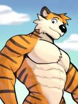  2021 abs anthro big_muscles blue_sky calvin_and_hobbes cloud countershade_face countershade_neck countershade_torso countershading day detailed_background digital_drawing_(artwork) digital_media_(artwork) felid fur half-length_portrait hi_res hobbes jrjresq looking_at_viewer male mammal muscular muscular_anthro muscular_male navel nude outside pantherine pecs portrait shaded sky smile solo standing stripes tiger tuft 