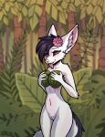  2019 accessory adra black_hair black_sclera canid canine cheek_tuft covering covering_breasts detailed_background facial_tuft female fennec flower flower_in_hair food fox fruit fur genitals hair hair_accessory hi_res inner_ear_fluff looking_at_viewer mammal melon melons phluks plant portrait pussy solo teasing three-quarter_portrait tongue tongue_out tuft watermelon watermelon_half white_body white_fur 