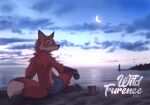  2021 4_toes anthro canid canine day detailed_background digital_media_(artwork) feet fingers fox koul male mammal moon outside smile solo toes 