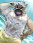  2021 anthro bawp belly black_nose bottomwear brown_body brown_fur canid canine canis clothing cute_fangs domestic_dog fur hat headgear headwear hi_res humanoid_hands kemono male mammal navel nipples outside overweight overweight_male scar shirt shorts solo tokyo_afterschool_summoners topwear video_games water wet yasuyori 
