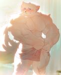  abs absurd_res anthro biceps canid canine clothing dona908 fur hi_res male mammal muscular muscular_anthro muscular_male nipples pecs shower solo towel towel_only water wet 