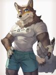  2021 anthro blue_eyes brown_body brown_fur canid canine canis clothed clothing fur hi_res japanese_text male mammal muscular muscular_anthro muscular_male ogami_aratsuka shirt shishimi443 simple_background solo text text_on_clothing text_on_shirt text_on_topwear topwear virtual_youtuber wolf 