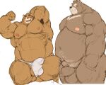  2021 anthro armpit_hair asian_clothing balls belly blush body_hair brown_body brown_fur clothed clothing duo east_asian_clothing edit erection erection_under_clothing flaccid fundoshi fur genitals humanoid_genitalia humanoid_penis japanese_clothing kemono kotobuki male mammal moobs nipples one_eye_closed overweight overweight_male penis uncensored underwear ursid white_clothing white_fundoshi white_underwear wink 