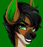  2020 black_hair black_nose canid canine canis digital_media_(artwork) eyebrows eyelashes green_eyes greenb_bg hair headshot_portrait looking_at_viewer mammal pacevanrign portrait smile wolf 