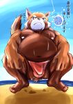  2021 absurd_res ailurid anthro asakura_kento asian_clothing beach belly big_belly black_nose brown_body brown_fur clothing east_asian_clothing fundoshi fur hi_res humanoid_hands japanese_clothing kemono male mammal moobs nipples outside overweight overweight_male red_clothing red_fundoshi red_panda red_underwear seaside solo underwear water yellow_eyes 