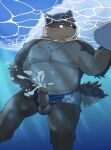  anthro balls belly blush bodily_fluids canid canine canis cum cum_in_water domestic_dog edit erection genital_fluids genitals hi_res humanoid_genitalia humanoid_penis male mammal masturbation moritaka musclegut nipples pecs penis solo swimming_cap tokyo_afterschool_summoners uncensored video_games water zuboboz 