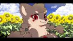  16:9 2021 ambiguous_gender anthro black_nose blush brown_body brown_fur canid cloud day flower fur looking_at_viewer mammal mee0118 outside photo_background pigtails plant red_eyes smile solo sunflower widescreen 