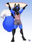  2020 absurd_res anthro arms_above_head black_hair black_sclera blue_body blue_fur bottomwear canid canine clothed clothing desmond_fallout_(desmondfallout) digitigrade fox fur gloves_(marking) hair hi_res hoop jaeh long_hair male mammal markings shirt shorts smile solo solo_focus tank_top topwear transformation_ring 