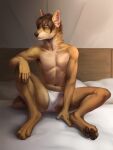  2021 3:4 4_toes 5_fingers abs anthro briefs brown_hair canid canine canis clothing dannonitan detailed_background digital_media_(artwork) domestic_dog feet fingers fur hair hi_res male mammal sitting solo tan_body tan_fur toes underwear white_clothing white_underwear 