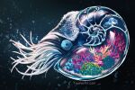  animal animal_request colorful commentary coral english_commentary full_body highres jellyfish nautilus_(animal) no_humans original surreal terrarium transparent underwater water watermark web_address wenqing_yan 
