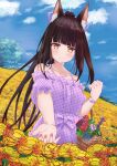  1girl absurdres alternate_costume alternate_hairstyle animal_ears azur_lane bangs black_hair blue_sky blunt_bangs blurry blush casual cloud cloudy_sky collarbone commentary_request contemporary depth_of_field dress eyebrows_visible_through_hair field flower flower_basket flower_field fox_ears highres long_hair looking_at_viewer nagato_(azur_lane) plaid plaid_dress ponytail purple_dress reaching_out rose sidelocks sky smile solo spaghetti_strap yellow_eyes yuzu_minari 