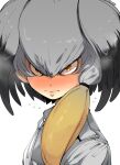  1girl angry blush closed_mouth from_side full-face_blush grey_hair grey_jacket head_wings jacket kemono_friends looking_at_viewer looking_to_the_side multicolored_hair necktie portrait red_eyes sanpaku shoebill_(kemono_friends) simple_background solo symbol-only_commentary takato_kurosuke upper_body white_background white_neckwear yellow_eyes 