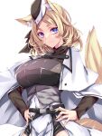  1girl animal_ear_fluff animal_ears arknights armor bangs black_headwear black_sweater blonde_hair blue_eyes breastplate breasts cape closed_mouth commentary_request eyebrows_visible_through_hair framed_breasts hands_on_hips highres horse_ears horse_tail long_hair long_sleeves medium_breasts smile solo suterii sweater tail thick_eyebrows upper_body whislash_(arknights) white_cape 