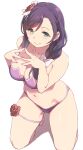  1girl bikini bow braid braided_ponytail breasts closed_mouth deyuuku flower green_eyes hair_bow hair_flower hair_ornament kneeling large_breasts leg_garter long_hair looking_at_viewer love_live! love_live!_school_idol_project navel purple_bikini purple_hair red_flower red_rose rose simple_background smile solo swimsuit toujou_nozomi white_background white_bow 