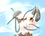 2016 :o ambiguous_gender blue_sky blush brown_eyes canid canine day deaic detailed_background distracting_watermark mammal open_mouth outside semi-anthro sky solo watermark