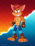 absurd_res activision anklet anthro bandicoot bottomwear clothing crash_bandicoot crash_bandicoot_(series) gloves handwear hi_res jewelry male mammal marsupial mma pants renthecat solo