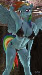 3d_(artwork) anthro anthroponiessfm bikini biped blue_body blue_feathers breasts clothed clothing digital_media_(artwork) equid equine eyelashes feathers female friendship_is_magic hair hasbro hi_res looking_at_viewer mammal my_little_pony navel pegasus pupils rainbow_dash_(mlp) solo swimwear wings