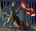 anthro bestiality breeding dominant dominant_feral felid feline feral hi_res impregnation jaguar mammal nonbinary_(lore) pantherine penetration sabertooth vaginal vaginal_penetration