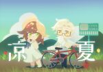  1boy 1girl bicycle blue_pants blue_sky brown_footwear brown_hair closed_mouth cloud cloudy_sky dress flower glasses grass green_eyes grey_shirt hat highres jacket long_hair long_sleeves mole mole_under_eye pants red_flower red_rose remosea rosa_(tears_of_themis) rose semi-rimless_eyewear shirt short_hair sign sky sleeveless sleeveless_dress standing summer sun_hat sundress tears_of_themis vyn_richter_(tears_of_themis) white_dress white_footwear white_hair white_jacket wind yellow_eyes yellow_flower yellow_rose 